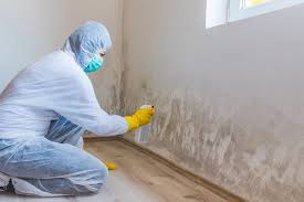 Best Mold Remediation for Vacation Homes  in Cleveland, TX