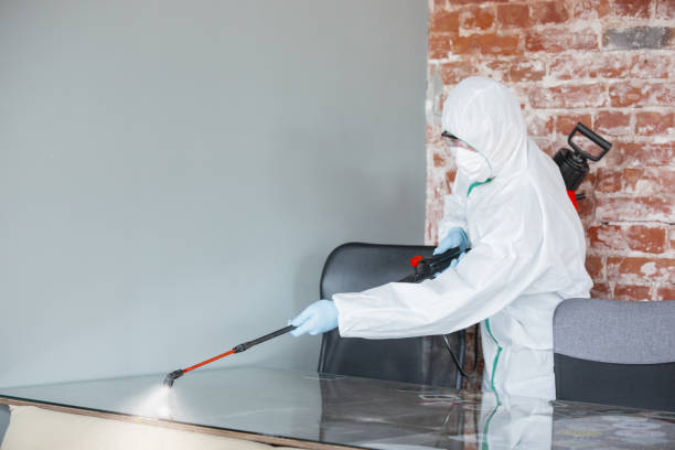 Best Mold Damage Restoration  in Cleveland, TX