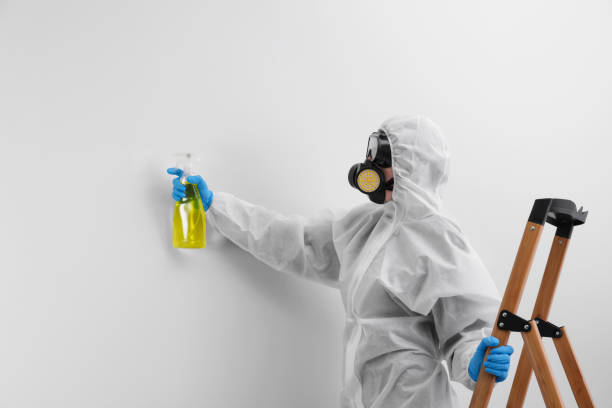 Mold Documentation for Insurance Claims in Cleveland, TX